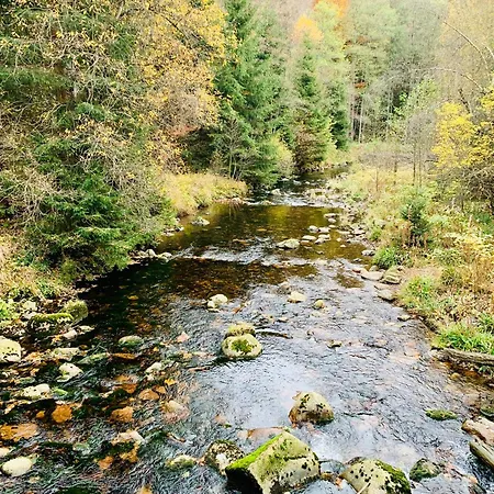 Harz-momente Rehberg Appartement Sankt Andreasberg